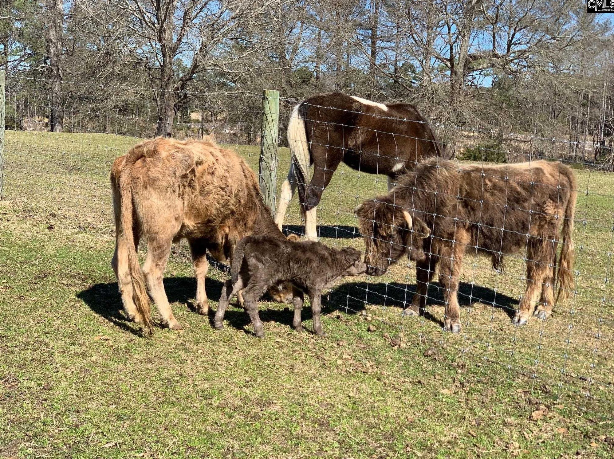 209 Howell Rd, Blythewood SC  29016-9411 exterior