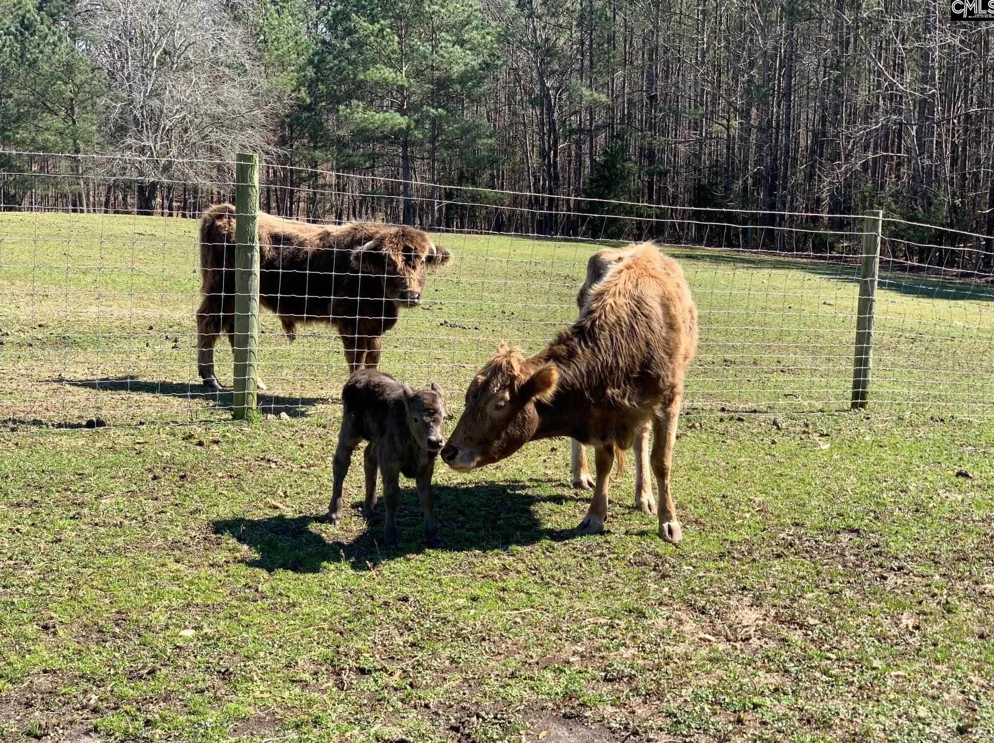 209 Howell Rd, Blythewood SC  29016-9411 exterior