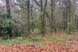 1951 Forest Dr, Camden, SC 29020 - Photo 1