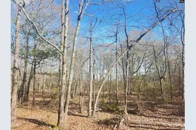 138 Riptide Road, North, SC 29112 - Photo 11