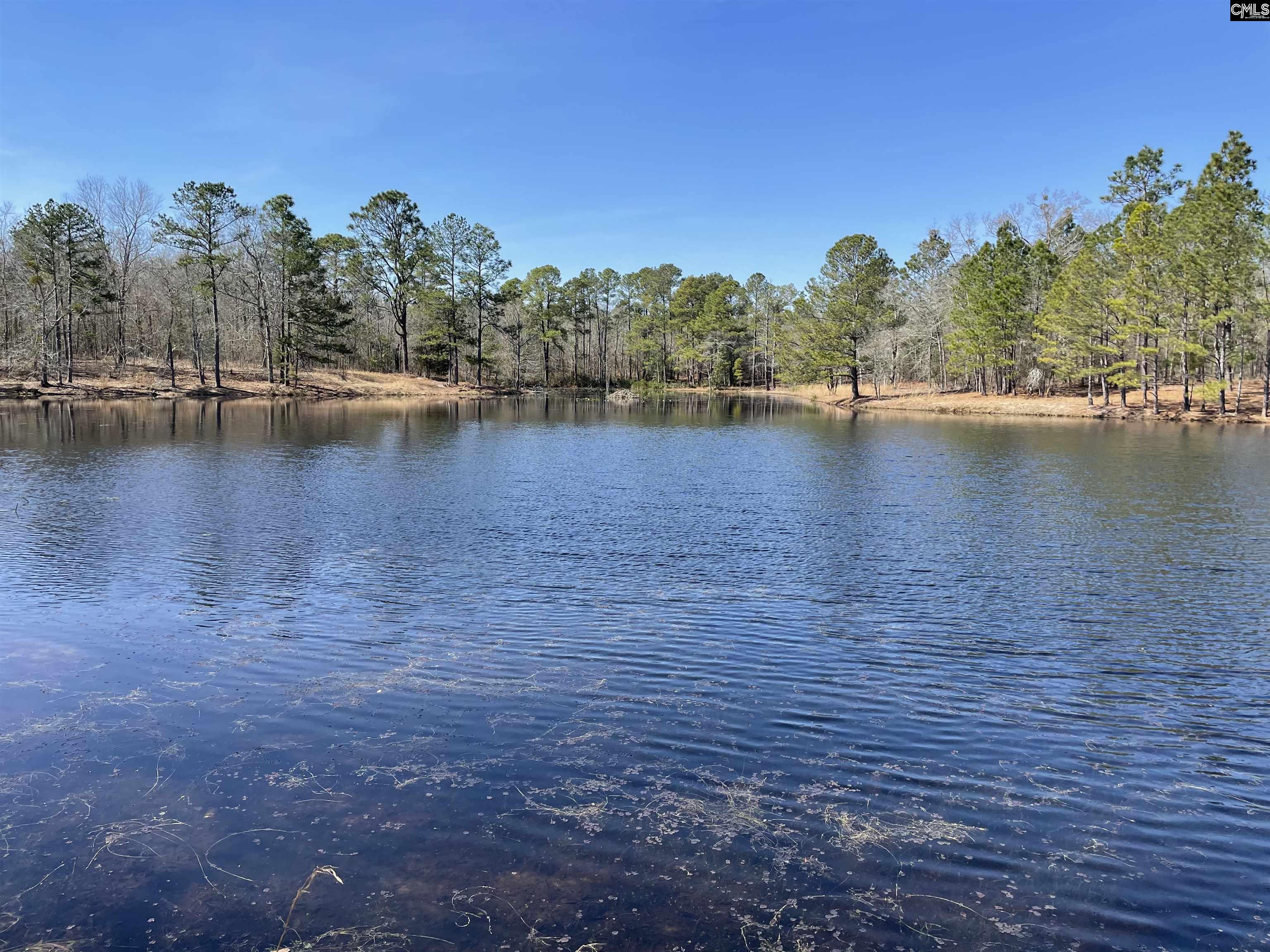 Berlin Rd, Salley, SC 29137 MLS 580980 Coldwell Banker