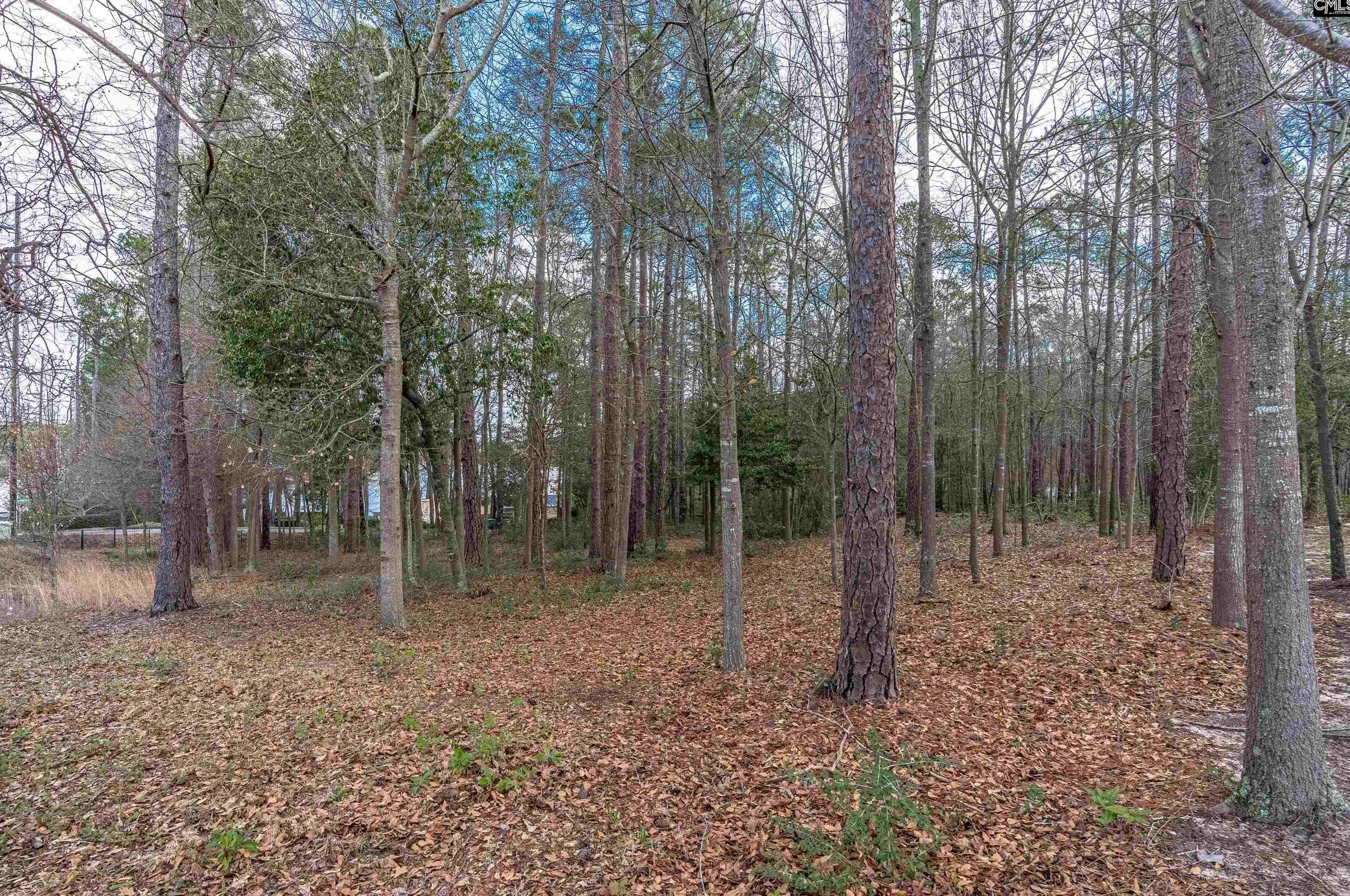 201 Arcadia Lk Dr, Columbia SC 29206-1321 exterior