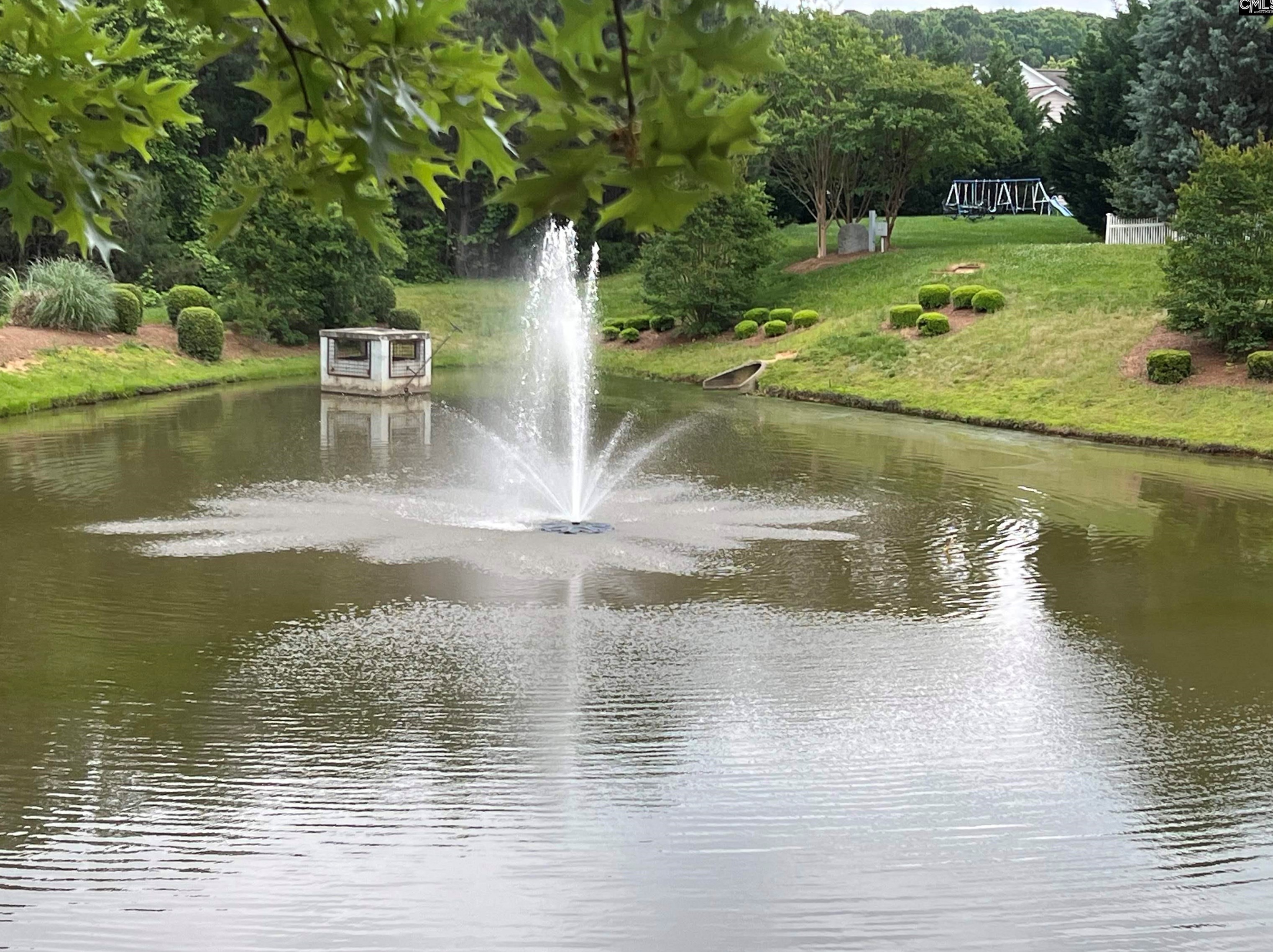 829 Lacebark Dr, Rock Hill SC 29732-8996 exterior