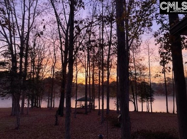 1706 Mt Willing Rd, Batesburg-Leesville SC  29006-8351 exterior