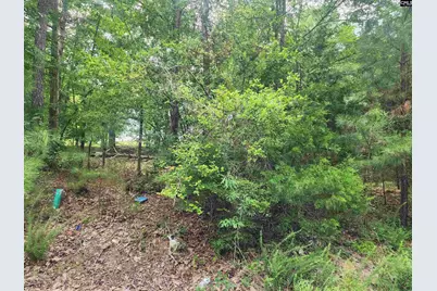 Forest Ridge Drive #30 &amp; 31 B, Newberry, SC 29108 - Photo 1