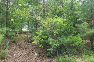 Forest Ridge Dr, Newberry, SC 29108 - Photo 1