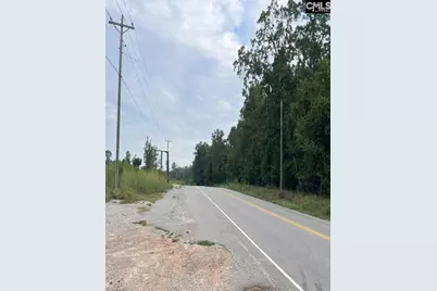 1304 Amicks Ferry Road, Chapin, SC 29036 - Photo 5