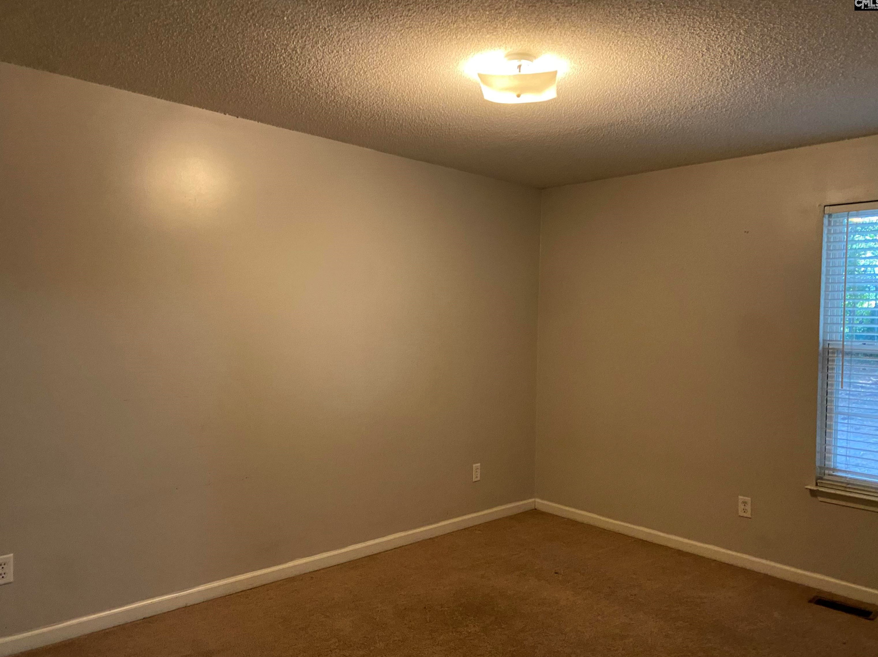 1319 Parliament Lk Dr, Columbia SC 29223-1970 exterior