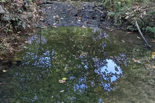 532 Pomaria St, Little Mountain, SC 29075 - Photo 17