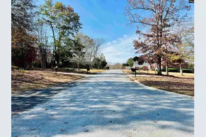 127 Deer Ridge Trail #11, Gilbert, SC 29054 - Photo 3