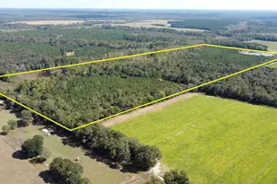 1308 Firetower Rd, Springfield, SC 29146 - Photo 3