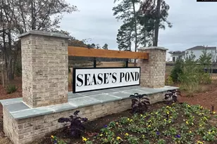 138 Ruby Prince Rd, Gilbert, SC 29054 - Photo 41