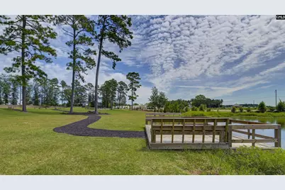 138 Ruby Prince Road, Gilbert, SC 29054 - Photo 45