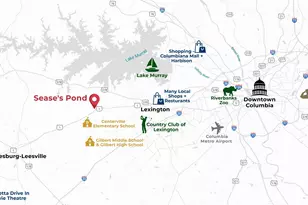 138 Ruby Prince Rd, Gilbert, SC 29054 - Photo 47