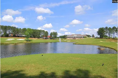 245 Woodlander Drive, Blythewood, SC 29016 - Photo 31