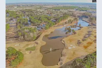 245 Woodlander Drive, Blythewood, SC 29016 - Photo 33