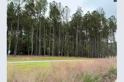 Lot 109 Stewart Landing Drive #109, Prosperity, SC 29127 - Photo 7