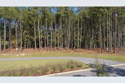 Lot 109 Stewart Landing Drive #109, Prosperity, SC 29127 - Photo 1