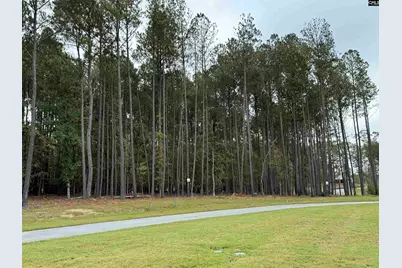 Lot 109 Stewart Landing Drive #109, Prosperity, SC 29127 - Photo 3
