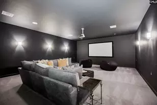 1118 Marble Arch Ct, Chapin, SC 29036 - Photo 65