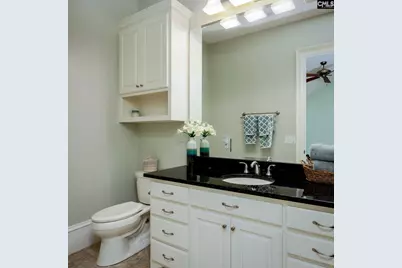 1118 Marble Arch Court, Chapin, SC 29036 - Photo 59