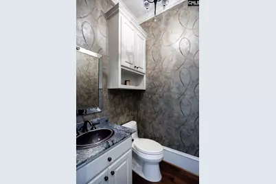 1118 Marble Arch Court, Chapin, SC 29036 - Photo 67