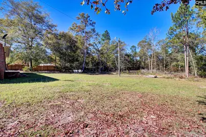 334 Gospel Hill Court, Orangeburg, SC 29115 - Photo 19