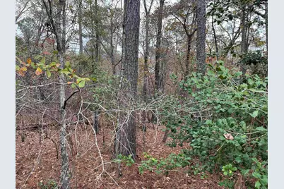 Tbd Parkwood Avenue 4, North, SC 29112 - Photo 3