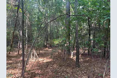 Tbd Parkwood Avenue 10, North, SC 29112 - Photo 7