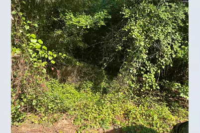 Tbd Parkwood Avenue 10, North, SC 29112 - Photo 11