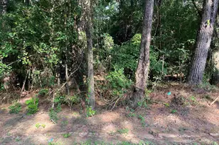 Tbd Parkwood Ave 10, North, SC 29112 - Photo 1