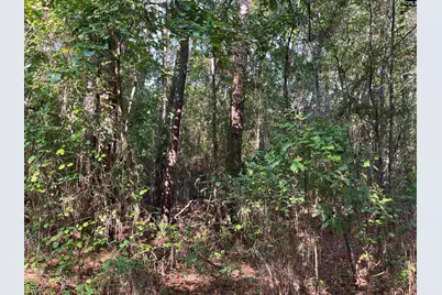 Tbd Parkwood Avenue 10, North, SC 29112 - Photo 3