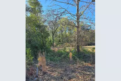 0 Popular Street Lot 1 #1, Cayce, SC 29033 - Photo 1