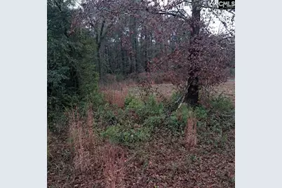 0 Popular Street Lot 1 #1, Cayce, SC 29033 - Photo 3