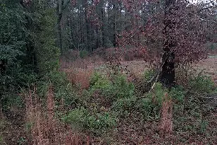 0 Popular Street Lot 1, Cayce, SC 29033 - Photo 3