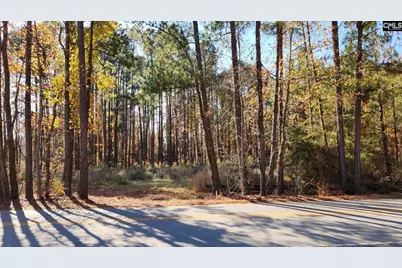 2225 Old Cherokee Road Lot #3, Lexington, SC 29072 - Photo 1