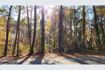 2235 Old Cherokee Road Lot #5, Lexington, SC 29072 - Photo 1