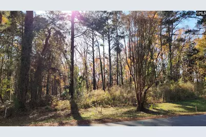 2247 Old Cherokee Road Lot #6, Lexington, SC 29072 - Photo 1