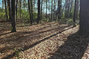 Lot 7 &amp 8 Popular St, Cayce, SC 29033 - Photo 5