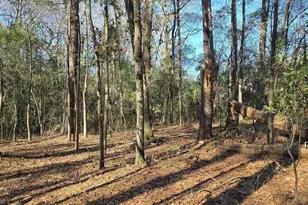 Lot 7 &amp 8 Popular St, Cayce, SC 29033 - Photo 3