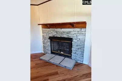 3131 Emanuel Church Road, Lexington, SC 29073 - Photo 3