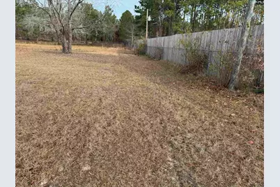 128 Overview Court, Lexington, SC 29073 - Photo 5