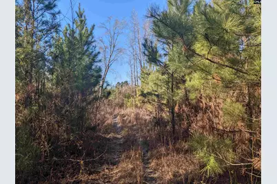 1135 Elkwood Lane, Camden, SC 29020 - Photo 3