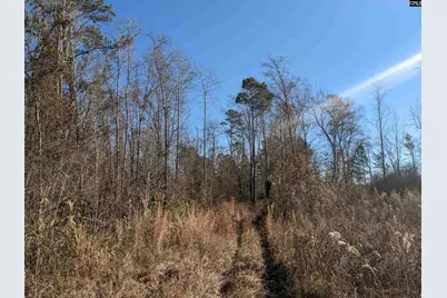 1135 Elkwood Lane, Camden, SC 29020 - Photo 11