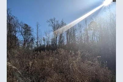1135 Elkwood Lane, Camden, SC 29020 - Photo 13