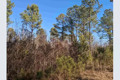 1135 Elkwood Lane, Camden, SC 29020 - Photo 17