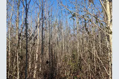 1135 Elkwood Lane, Camden, SC 29020 - Photo 5