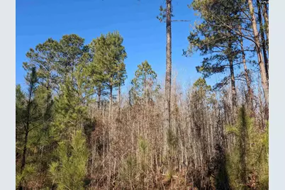 1135 Elkwood Lane, Camden, SC 29020 - Photo 7