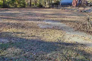 2415 Riley St, Orangeburg, SC 29118 - Photo 19