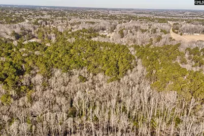 50 Thorn Way, Elgin, SC 29045 - Photo 3